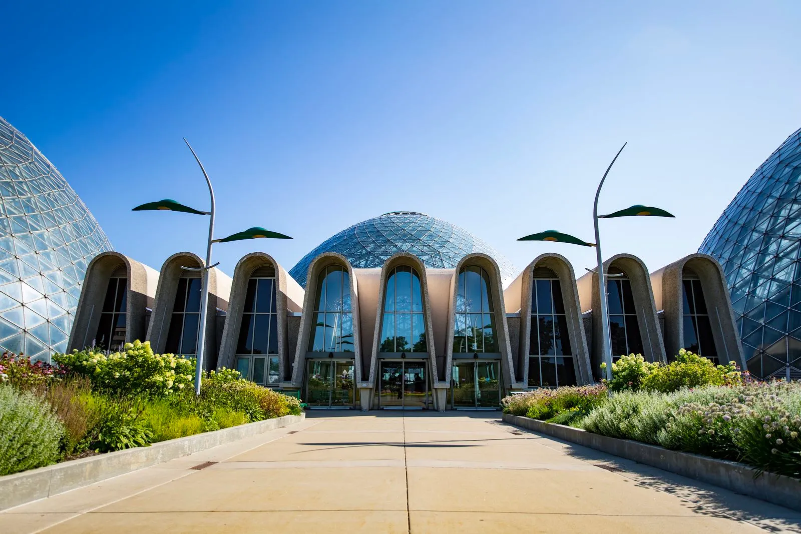 the modern entrance to the Domes, with native plantings in beds on either side of he entrance